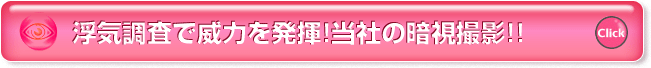 浮気調査で威力を発揮！当社の暗視撮影！！